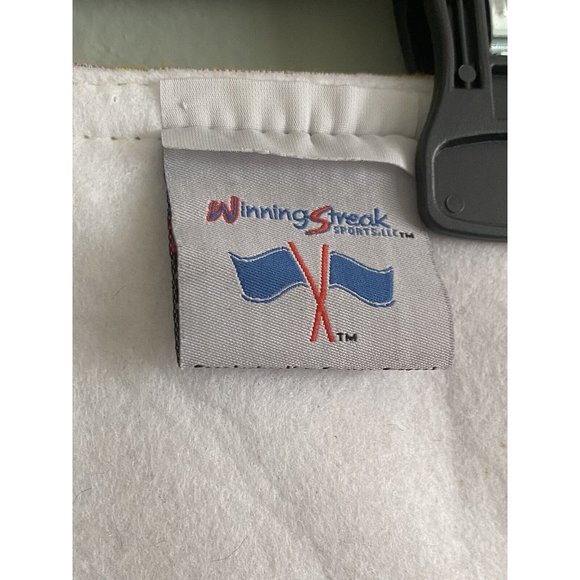 San Diego Chargers NFL Pigskin Pennant 12 X 31 Flag Banner Winning Streak - Picture 4 of 7